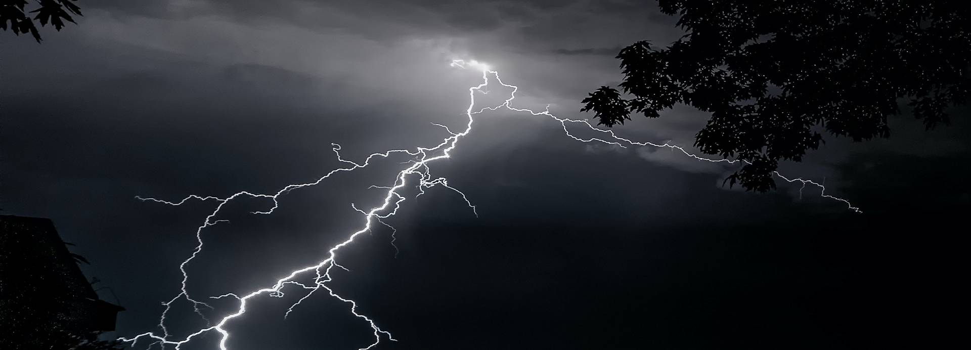 Lightning strikes on a dark night, with trees silhouetted in the foreground.